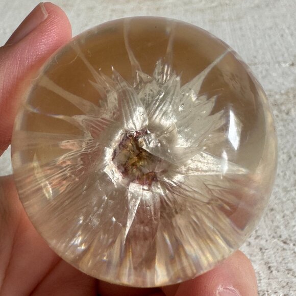 Vintage Lucite Acrylic Paperweight Decor with White Strawflower and Real Bug - Picture 7 of 10